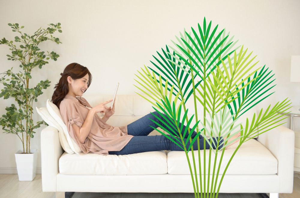 植物のグラフィックパターンを制作 ネクストワンwebマガジン